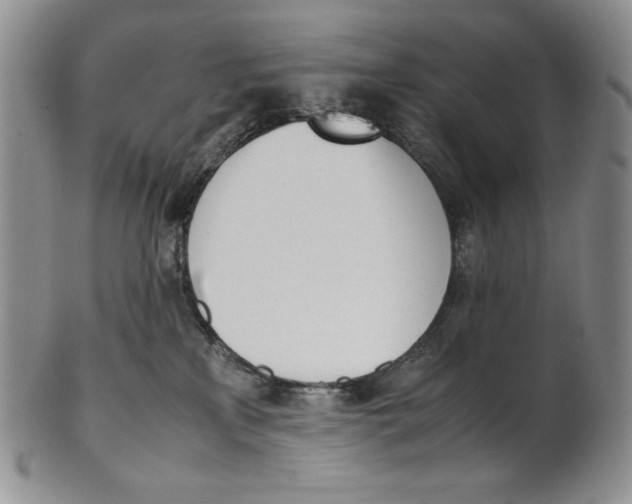 X0000100770233200807101759