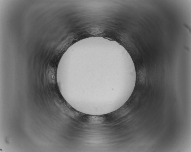 X0000100770234200807101759