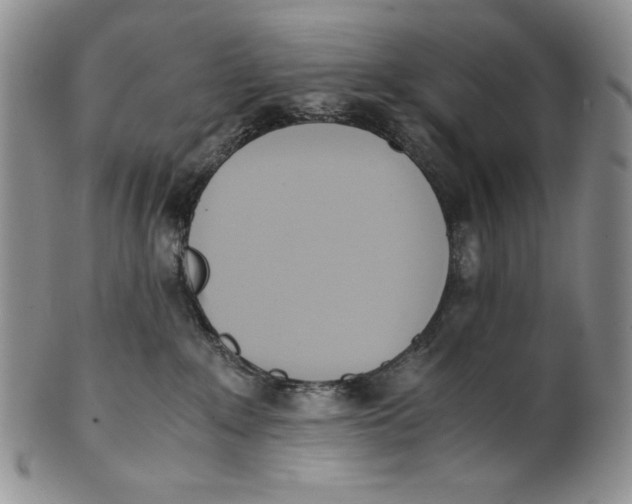 X0000100770235200807101759