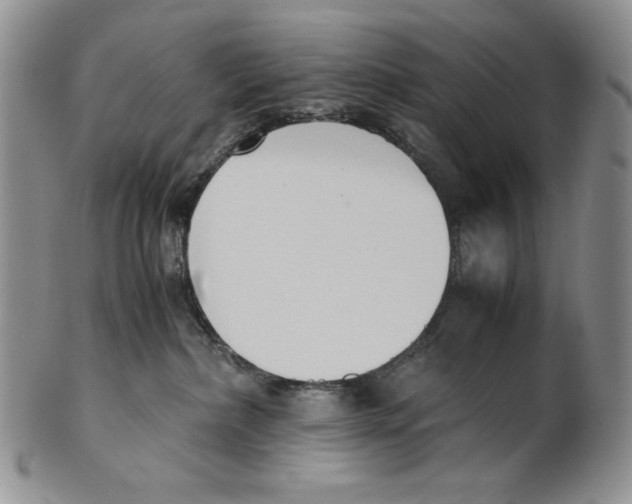 X0000100770236200807101759