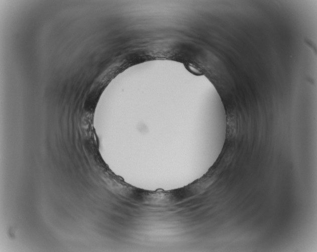 X0000100770237200807101759