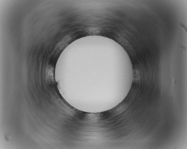 X0000100770238200807101759