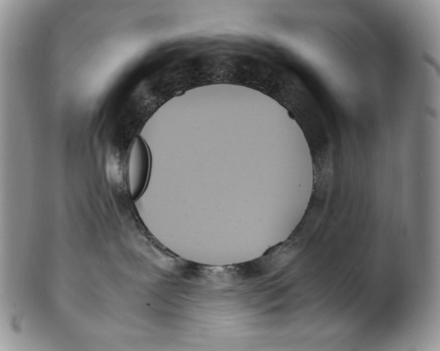 X0000100770239200807101759
