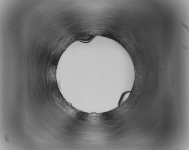 X0000100770240200807101759