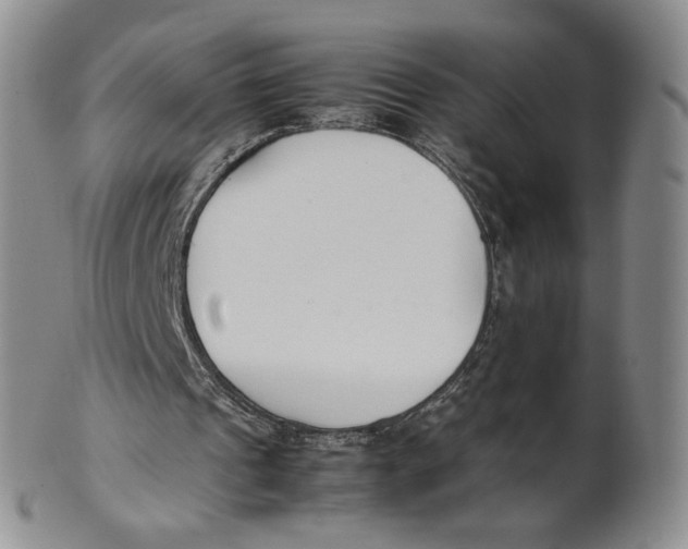 X0000100770241200807101758