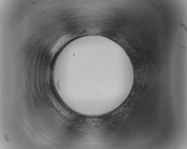 X0000100770242200807101758