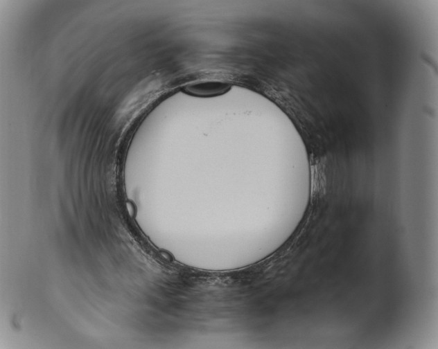X0000100770243200807101758