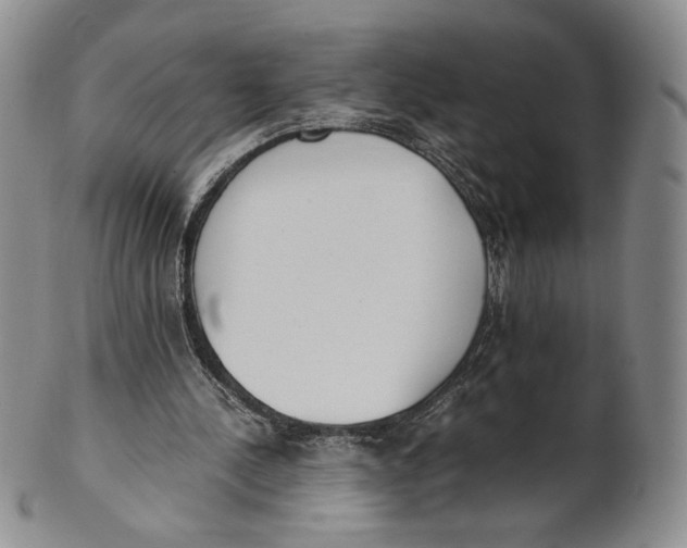 X0000100770244200807101758