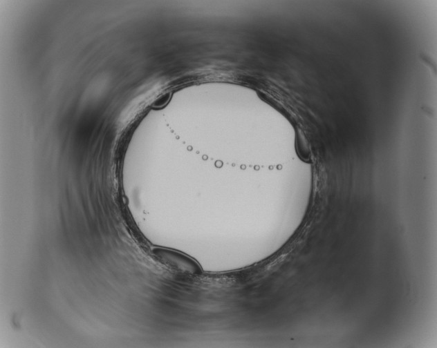 X0000100770245200807101758