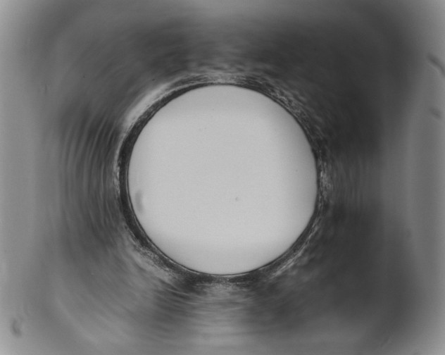 X0000100770246200807101758