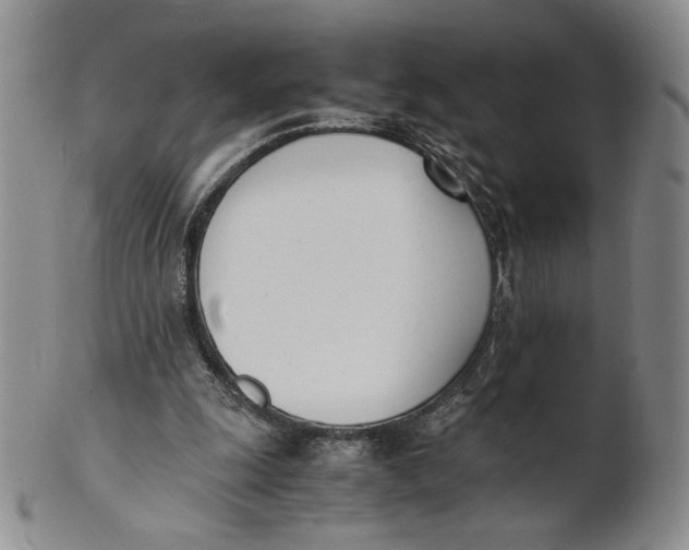 X0000100770247200807101758
