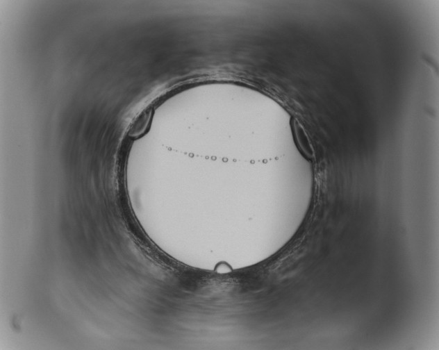 X0000100770248200807101758