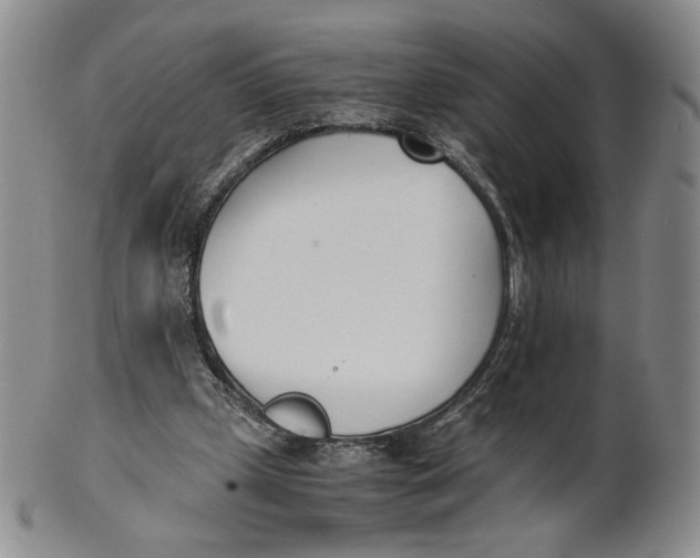 X0000100770249200807101758
