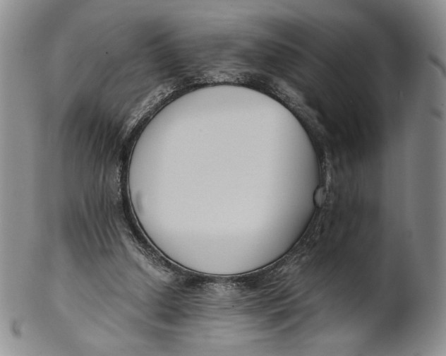 X0000100770250200807101758