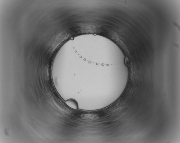 X0000100770251200807101758