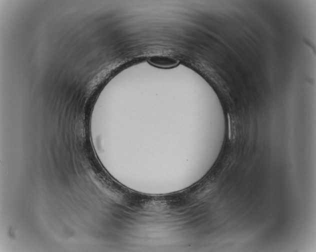 X0000100770252200807101758