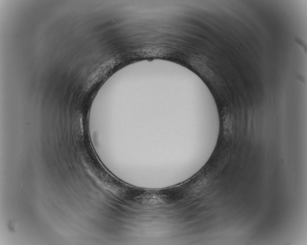 X0000100770254200807101758