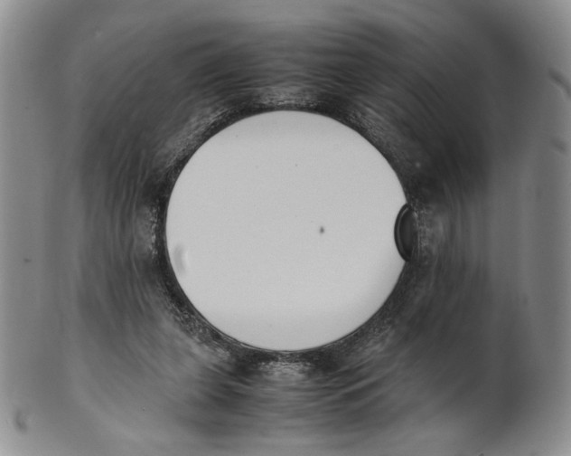 X0000100770255200807101758