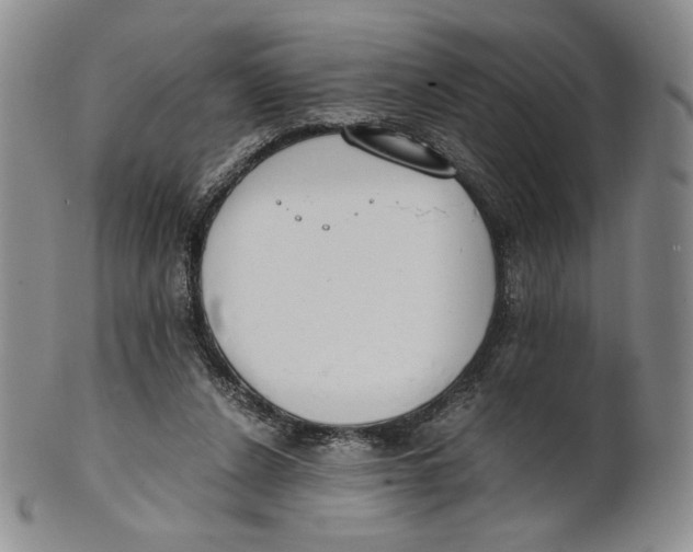 X0000100770256200807101758