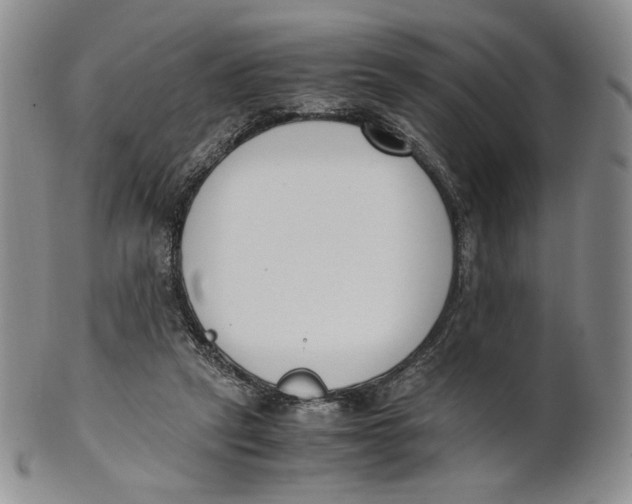X0000100770257200807101758