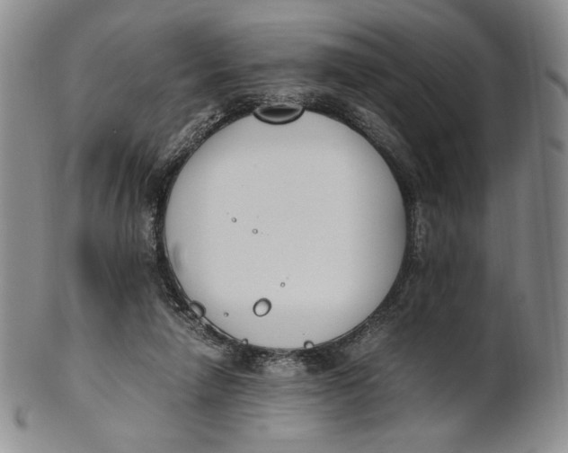 X0000100770258200807101758