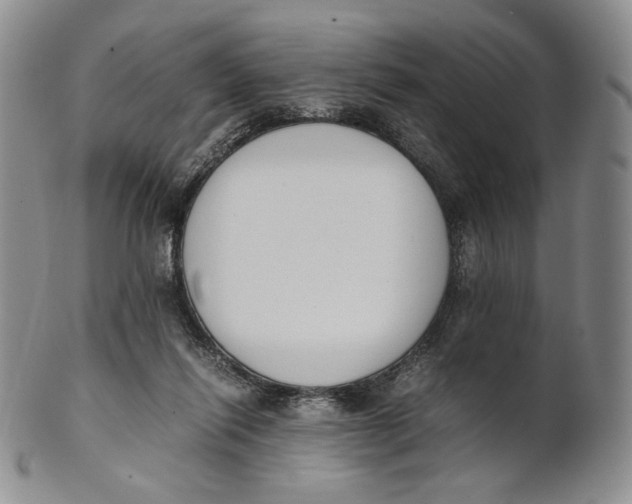 X0000100770262200807101759