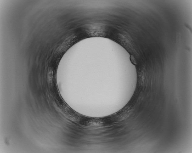 X0000100770263200807101759