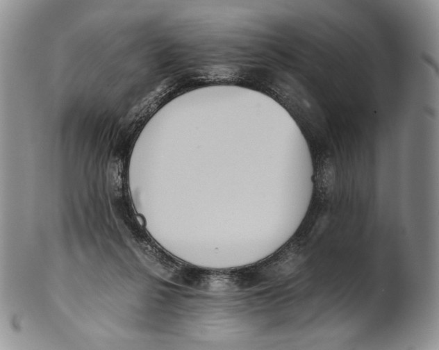 X0000100770264200807101759