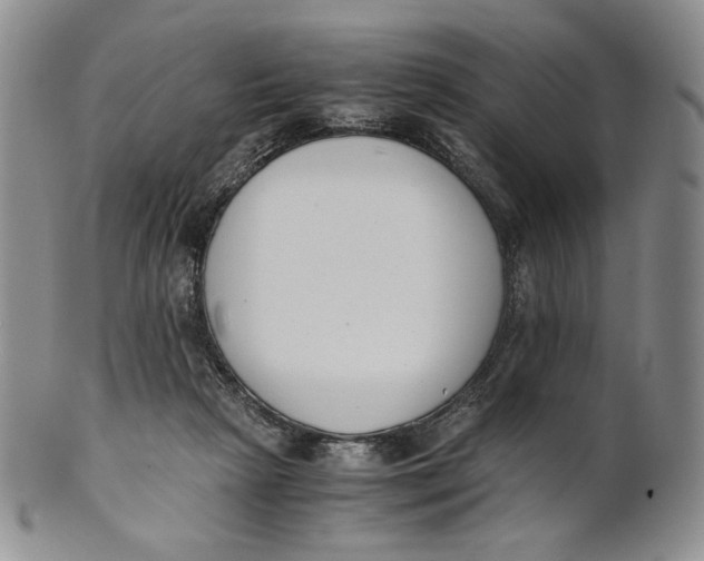 X0000100770265200807101759