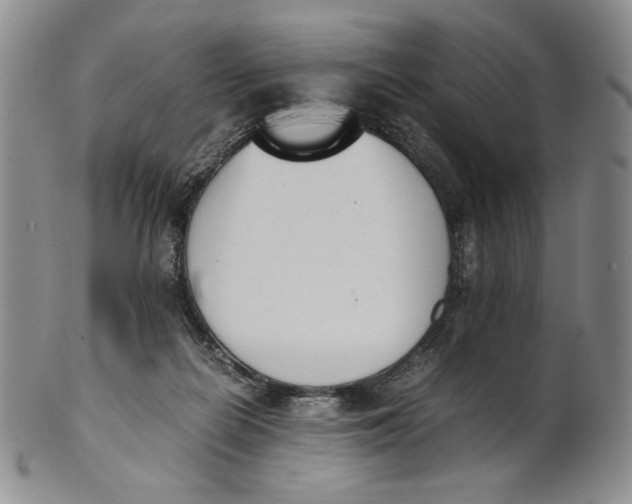X0000100770266200807101759