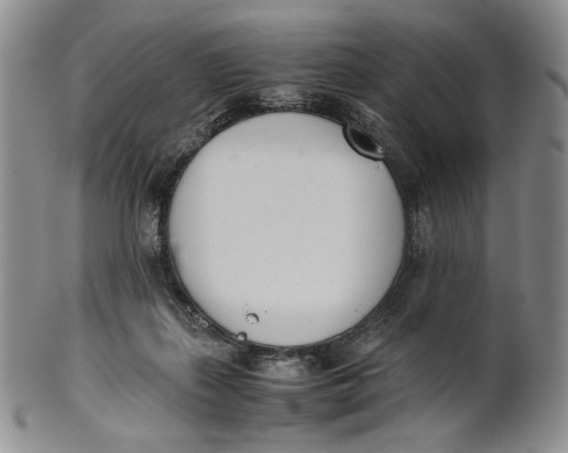 X0000100770267200807101759
