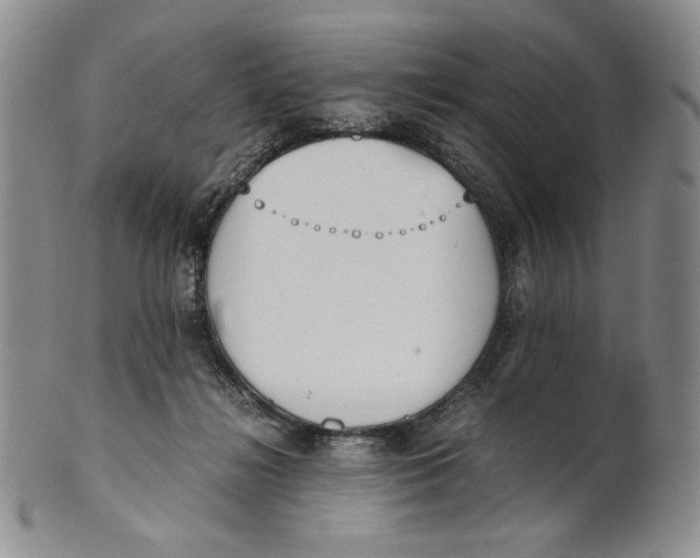 X0000100770268200807101759