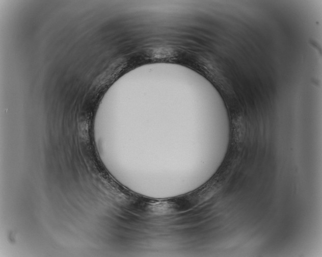 X0000100770269200807101759