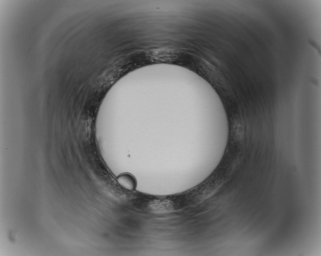 X0000100770271200807101759