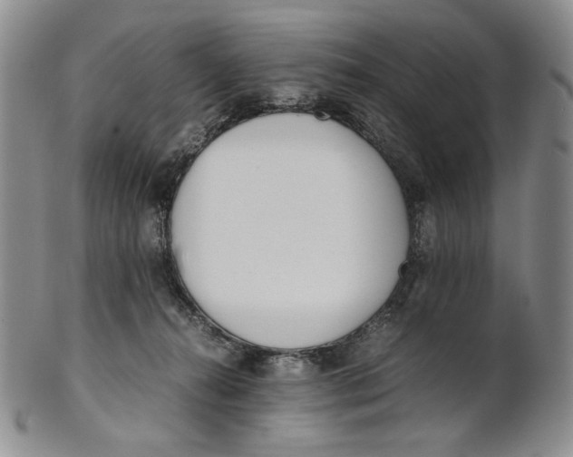 X0000100770272200807101759