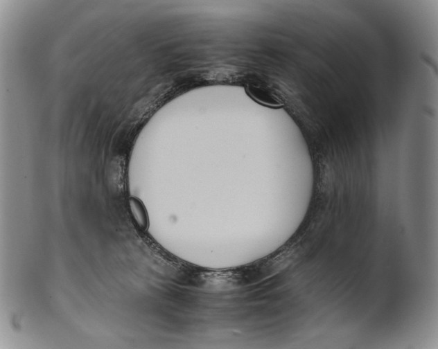 X0000100770273200807101759