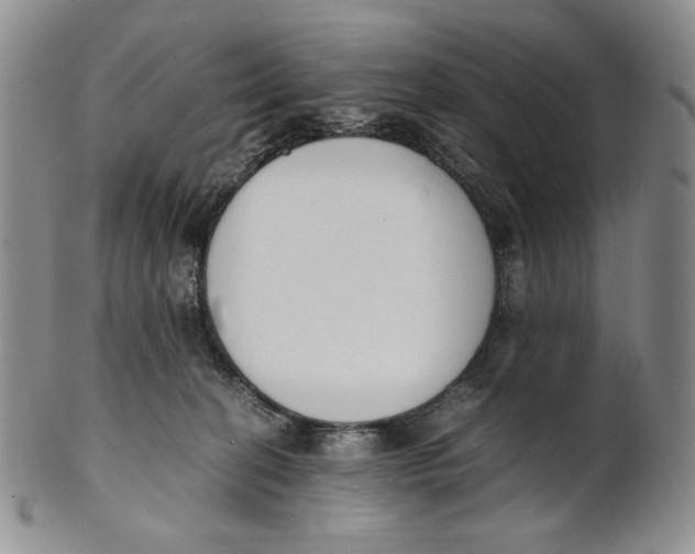 X0000100770274200807101759