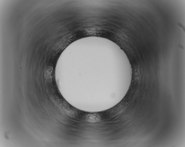 X0000100770275200807101759