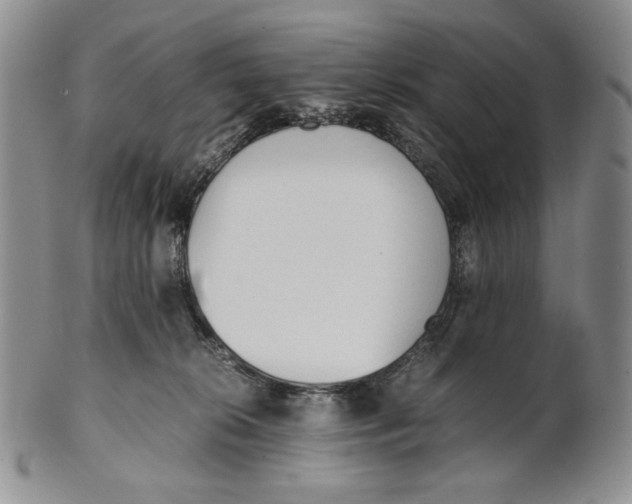 X0000100770276200807101759