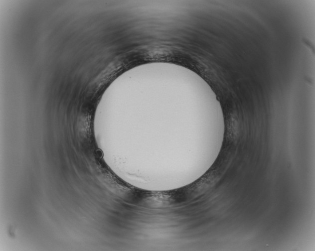 X0000100770278200807101759