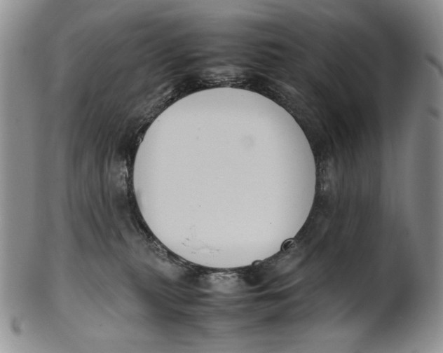 X0000100770279200807101759