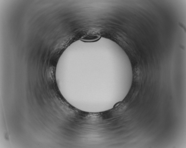 X0000100770280200807101759