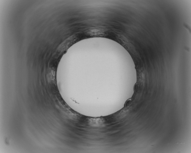 X0000100770281200807101759