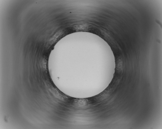 X0000100770282200807101759