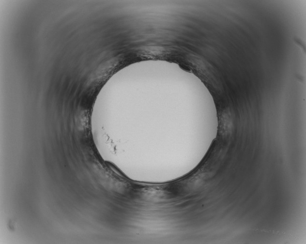 X0000100770284200807101759