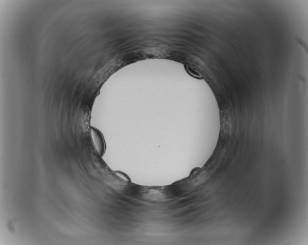 X0000100770285200807101759