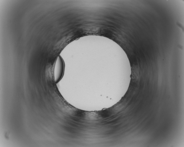 X0000100770287200807101759
