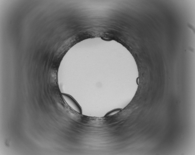 X0000100770288200807101759