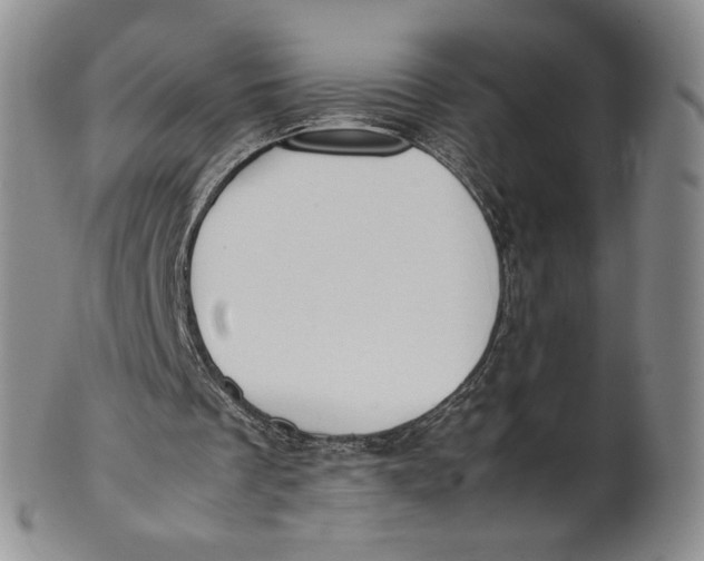 X0000100770289200807101758