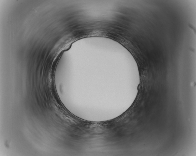 X0000100770290200807101758